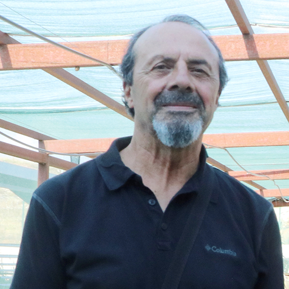 Dünyadaki salyangoz üretiminin yüzde 70'i Türkiye'de