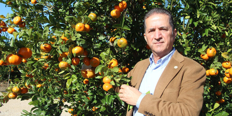 İlaç kalıntılı mandalinalar Bulgaristan sınırında imha edildi