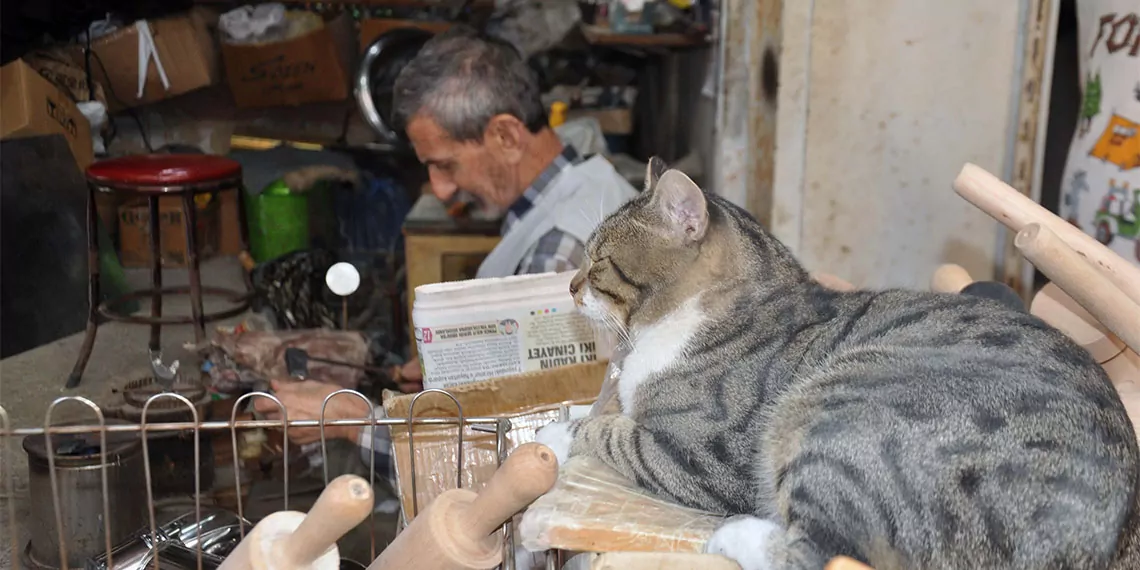 Yılın ‘türkiye ahisi’ seçilen hataylı fanus ve tenekecilik ustası mustafa gürler (78), 69 yıldır makine ve lehim kullanmadan kromdan bakliyat ve kuruyemiş küreği üretiyor.