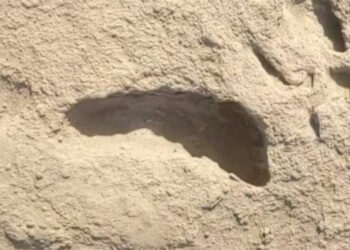 1.5 milyon yıl önceki ayak izlerinin sırrı çözüldü
