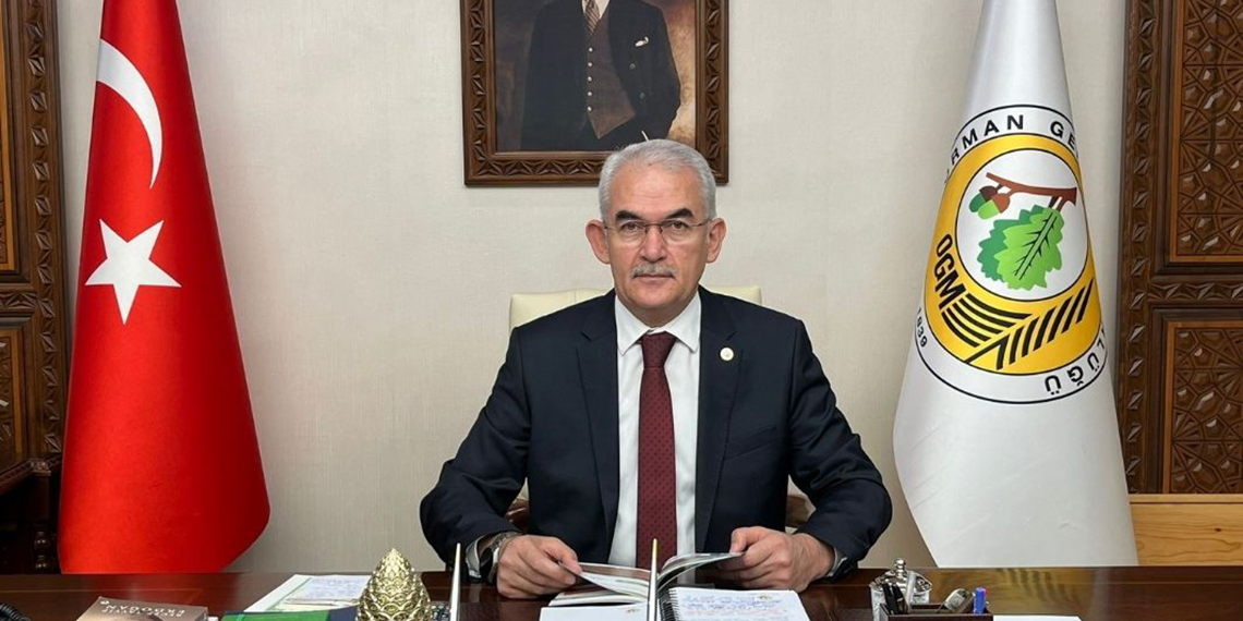 2024'te 3 bin 800 orman yangınında 27 bin hektar alan zarar gördü