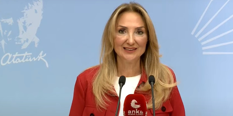 2024'te 608 kadın cinayeti gerçekleşti