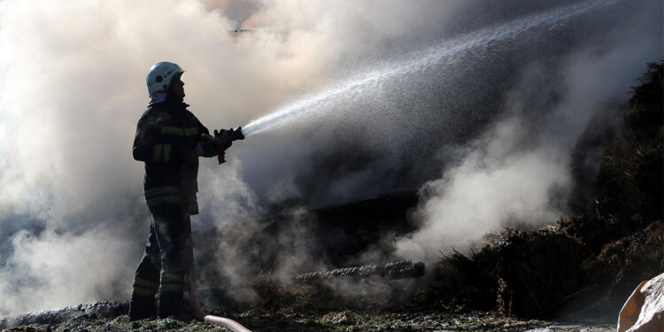 Ahır ve samanlık yangınında 3 büyükbaş öldü