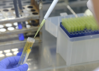 Antibiyotiklere dirençli bakterilere karşı aşı çalışması