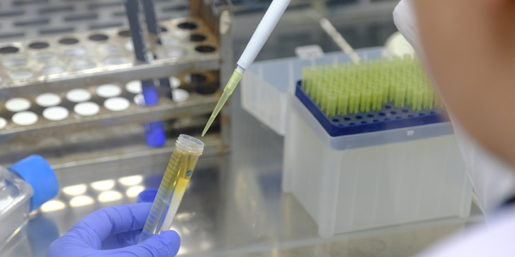 Antibiyotiklere dirençli bakterilere karşı aşı çalışması