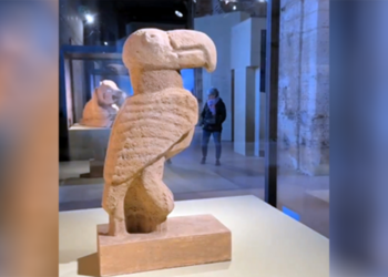 Antik Roma'nın simgesi Kolezyum'da 'Göbeklitepe' sergisi