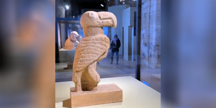 Antik Roma'nın simgesi Kolezyum'da 'Göbeklitepe' sergisi