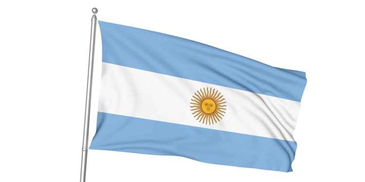 Arjantin'de özel jet iniş sırasında pistten çıktı: 2 ölü