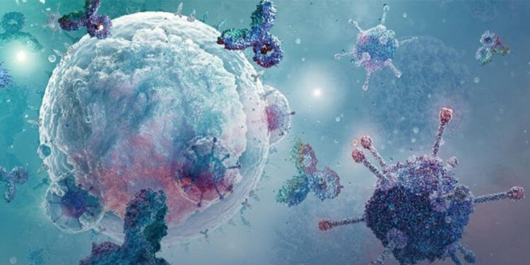 Bilim insanları, Translasyonel İmmünoloji Kış Okulu'nda bir araya gelecek