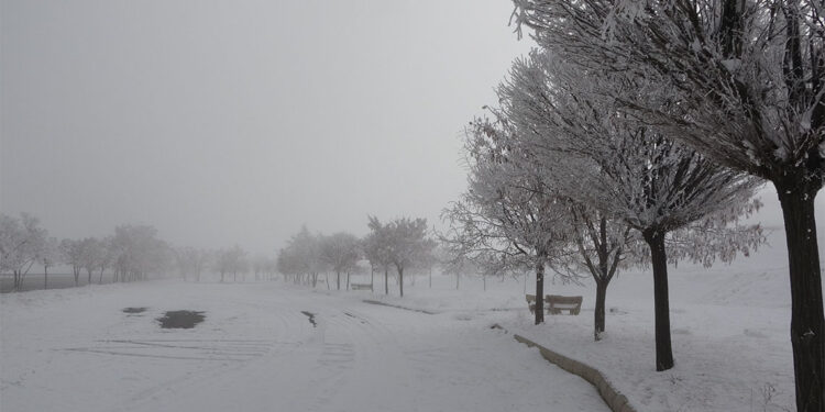 Bitlis'te hava sıcaklığı eksi 13.8 dereceyi gördü