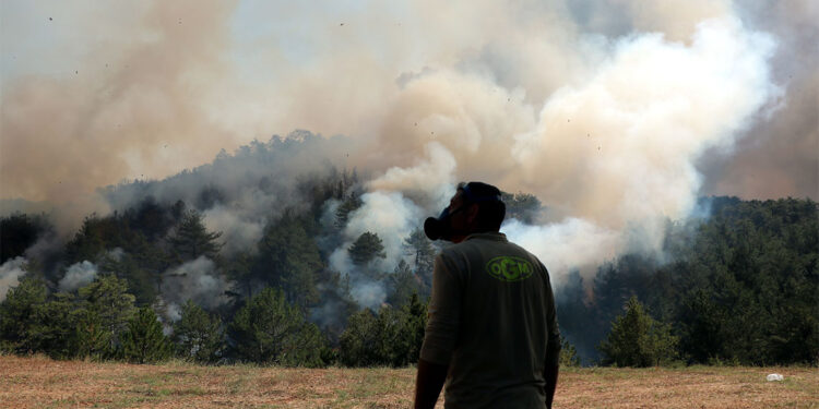 Bolu tarihinin en büyük orman yangınının maliyeti 780 milyon lira