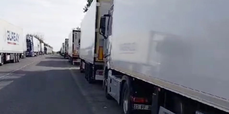 Batı Akdenizli ihracatçıların 'kanayan yarası'na gemi çözümü