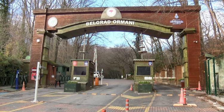 Belgrad Ormanı'ndaki İBB tabelaları kaldırıldı; DKMP tabelaları asıldı