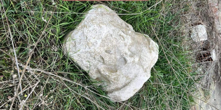 Binanın bahçesinde Roma dönemine ait sütun başlığı bulundu