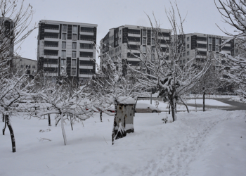 Bitlis'te 165 köy yolu kardan kapandı