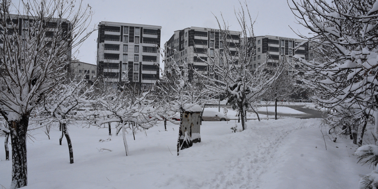 Bitlis'te 165 köy yolu kardan kapandı