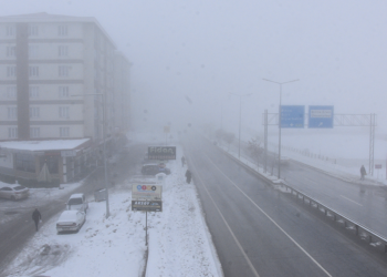 Bitlis'te yoğun sis