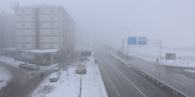 Bitlis'te yoğun sis