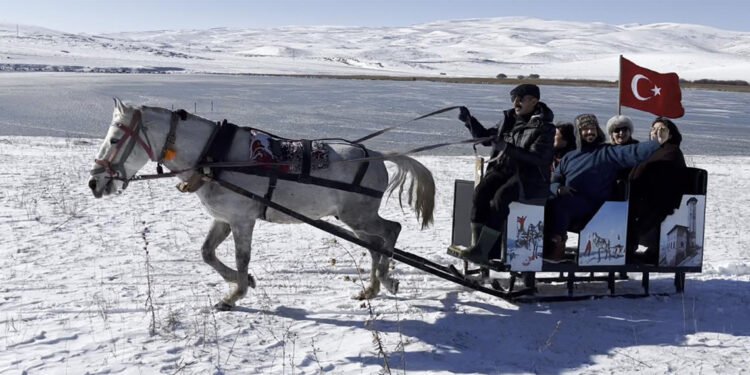 Çıldır Gölü'nün yüzeyinde buz tabakaları oluştu