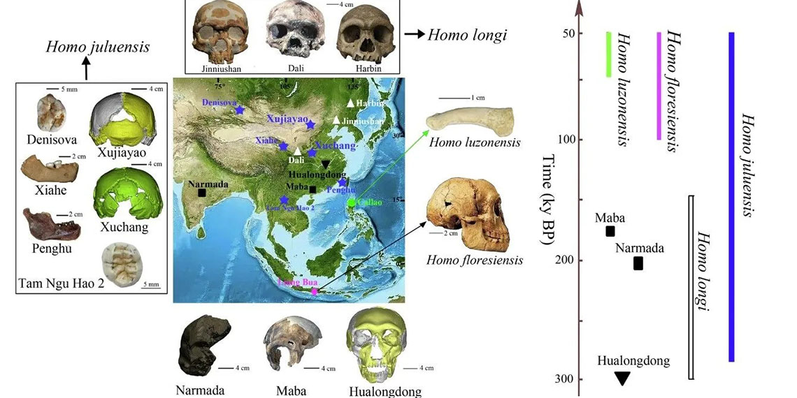 Araştırmacılar, Çin’de bulunan bir fosilden yola çıkarak ‘Homo juluensi’ adını verdikleri yeni bir insan türü keşfedildiğini açıkladı.