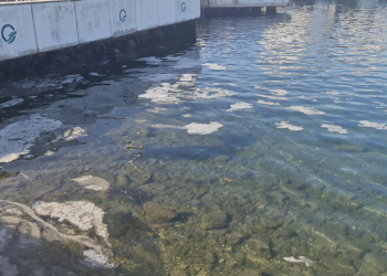 Çanakkale Boğazı'nda müsilaj tespit edildi