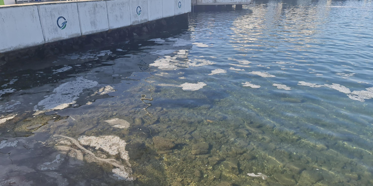 Çanakkale Boğazı'nda müsilaj tespit edildi 