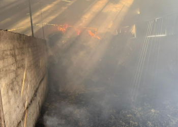 Çanakkale'de besi çiftliğinde çıkan yangında 6 büyükbaş öldü