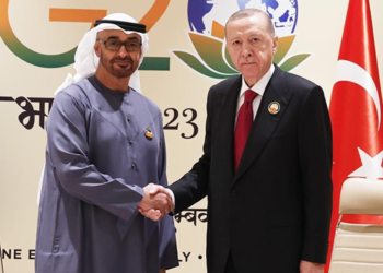 Erdoğan, BAE Devlet Başkanı Al Nahyan ile görüştü