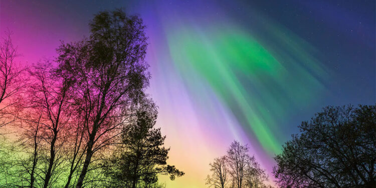 Dünya Meteoroloji Örgütü fotoğraf yarışması kazananları açıklandı