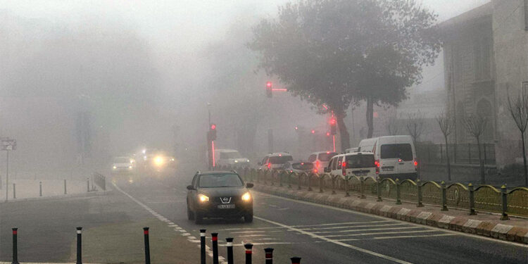 Edirne ve Tekirdağ'da sis etkili oldu