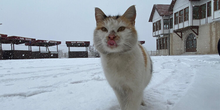 Tarihi Harput Mahallesi beyaza büründü