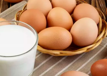 Ekimde tavuk eti, yumurta ve içme sütü üretimi arttı
