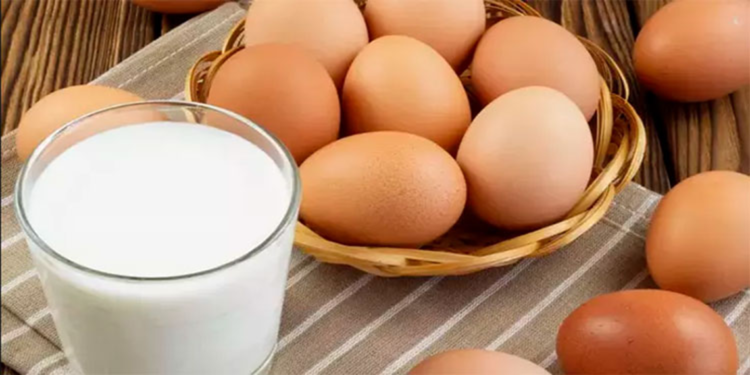 Ekimde tavuk eti, yumurta ve içme sütü üretimi arttı