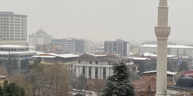 Elazığ'da kar yağışı etkili oldu