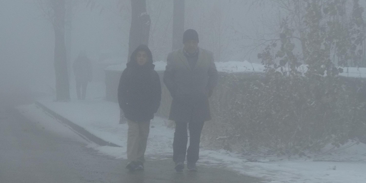 Erzurum'da sis etkili oldu
