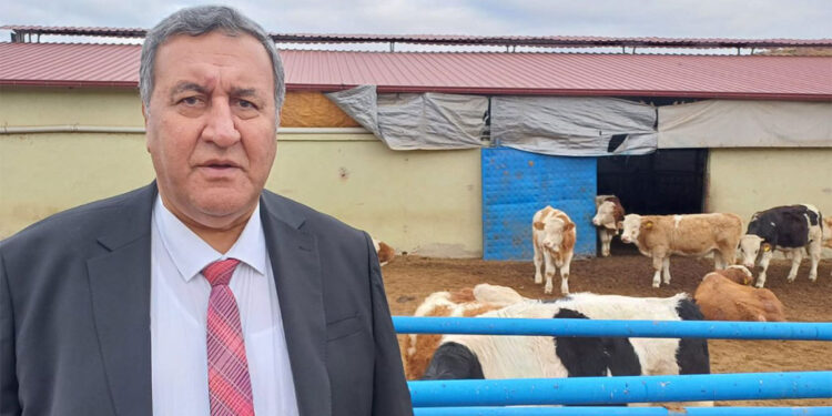 Tarımda plansızlık cebimize pahalıya patlıyor