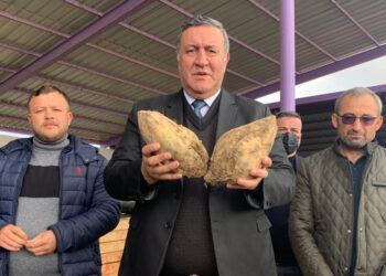 2024 yılının ilk 10 ayında 145 bin ton şeker ithal edildi