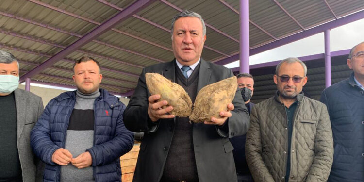 2024 yılının ilk 10 ayında 145 bin ton şeker ithal edildi