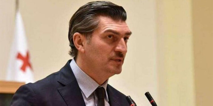 Mikheil Kavelaşvili'den AB üyeliği açıklaması