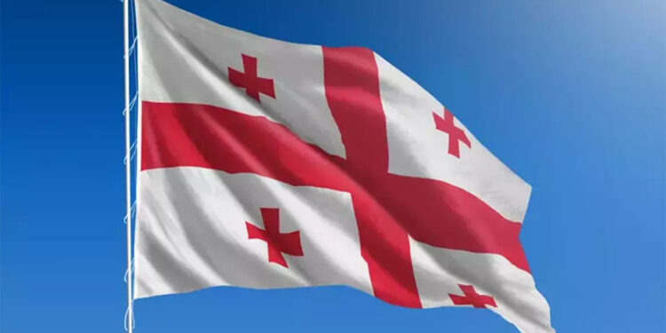 Gürcistan'da hükümet karşıtı eylemlere polis müdahale etti