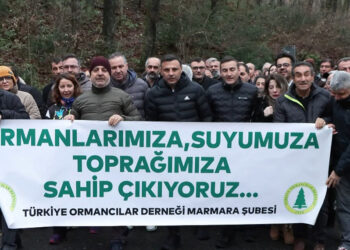 Belgrad Ormanları için endişeliyiz