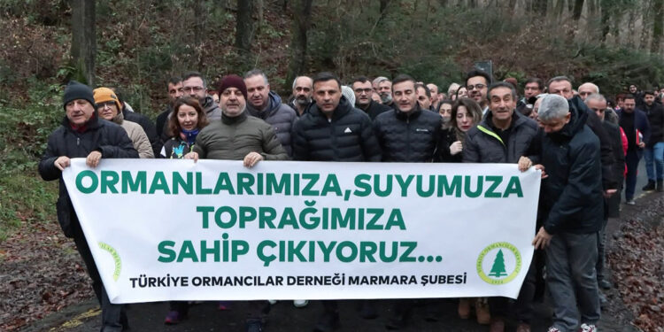 Belgrad Ormanları için endişeliyiz