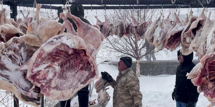 'Kaz gecesi' için satın alınan 300 kaz direklere asıldı