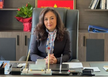 İdil Belediye Başkanı Türkan Kayır, DEM Parti’den ihraç edildi