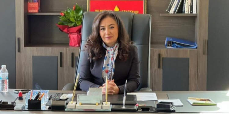 İdil Belediye Başkanı Türkan Kayır, DEM Parti’den ihraç edildi