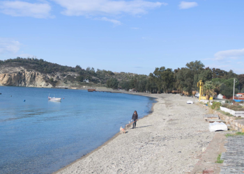 İzmir'de belediyenin koy manzaralı arazi satışına karşı imza kampanyası