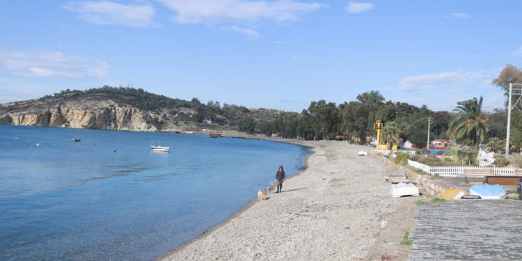 İzmir'de belediyenin koy manzaralı arazi satışına karşı imza kampanyası