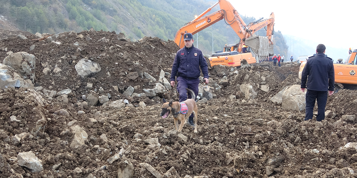 Karadeniz Sahil Yolu'nda heyelanın ardından trafik akışı kontrollü sağlanırken, ekipler temizleme ve yol açma çalışmalarını sürdürüyor.