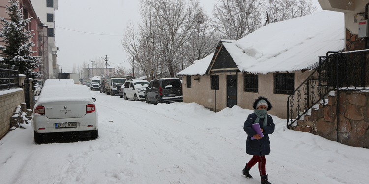 Karlıova beyaz örtü ile kaplandı