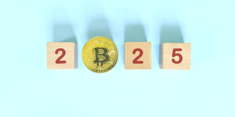 Kripto para piyasalarında 2025 tahminleri belli oldu